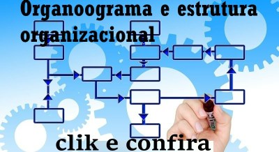 Organograma_2019