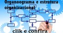 Organograma